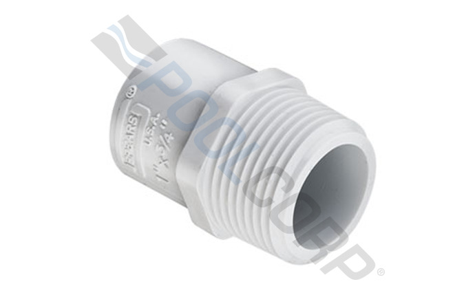 spe-56-5387.jpg