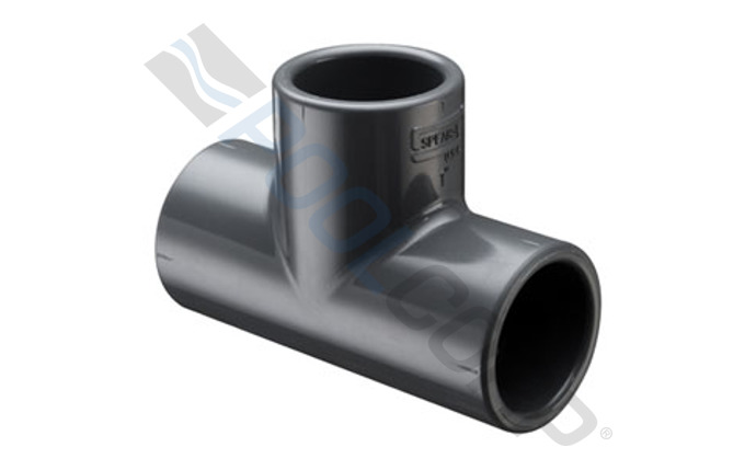 spe-56-5435.jpg