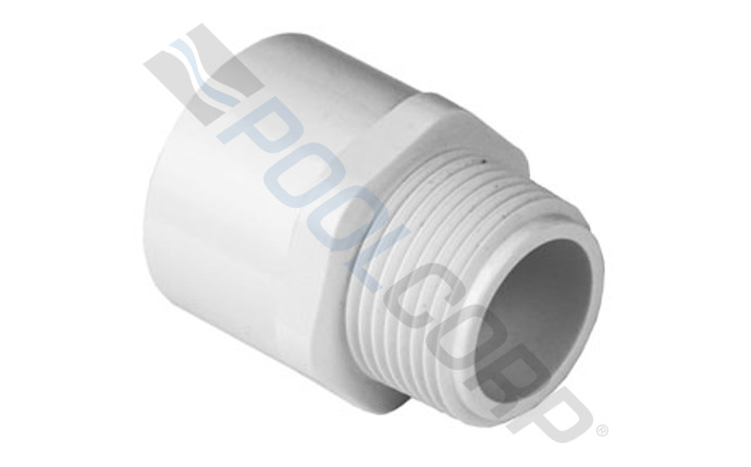 spe-56-6020.jpg
