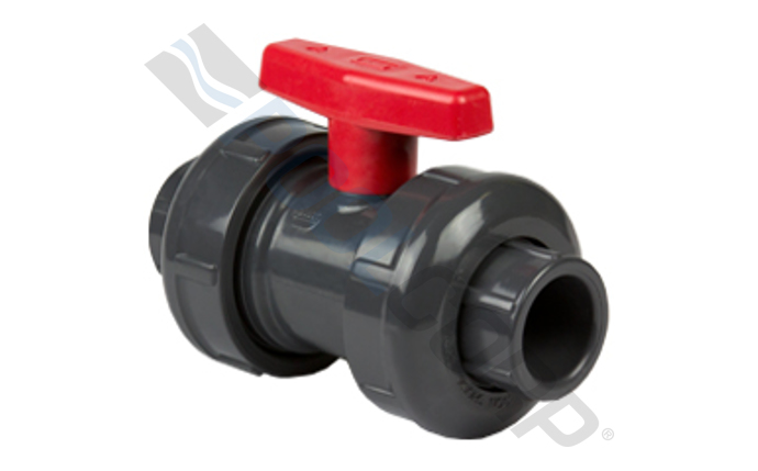 spe-56-6136.jpg
