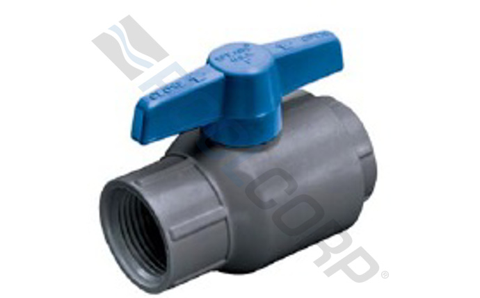 spe-56-6193.jpg