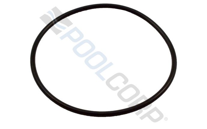 SPG-601-1128.jpg