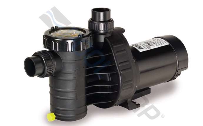 SPK-10-2201.jpg