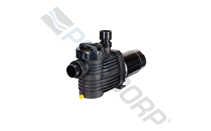 SPK-10-3109.jpg