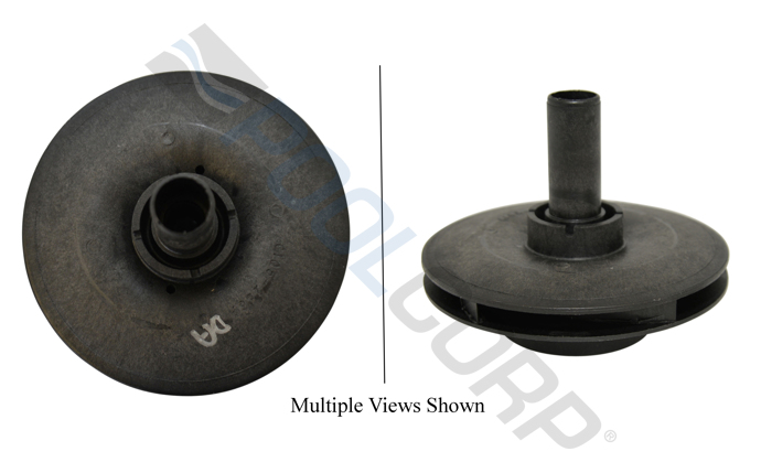 STA-101-1462.jpg