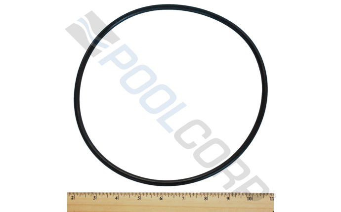 STA-101-2768.jpg
