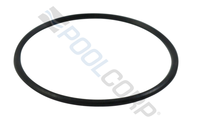 STA-101-8609.jpg