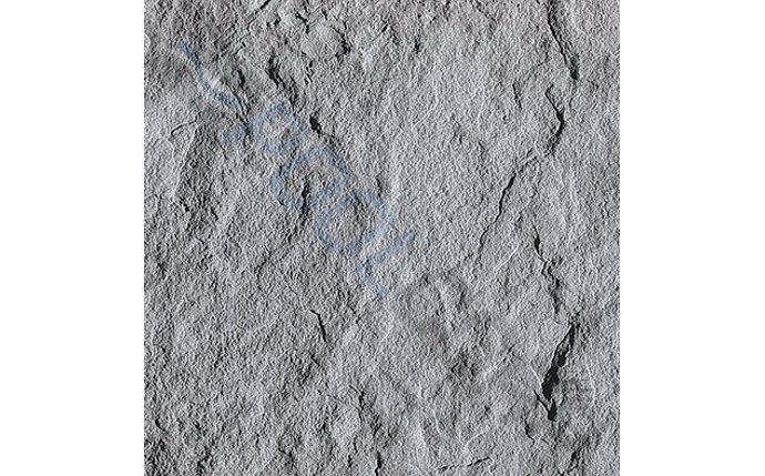 TEB-37-1083.jpg