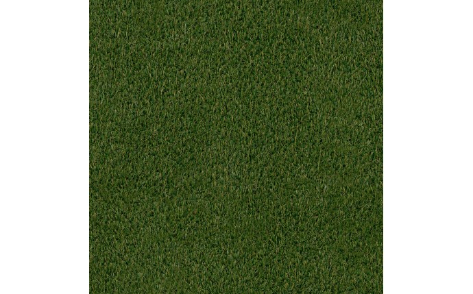 tgp-37-1022-1.jpg