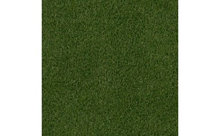 TGP-37-1022-1.jpg