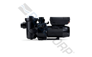 TLD-10-1000.jpg