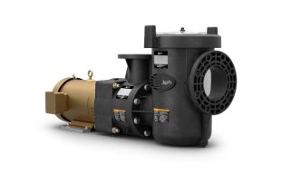 TLD-10-1008-1.JPG