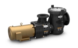 TLD-10-1014-7.JPG