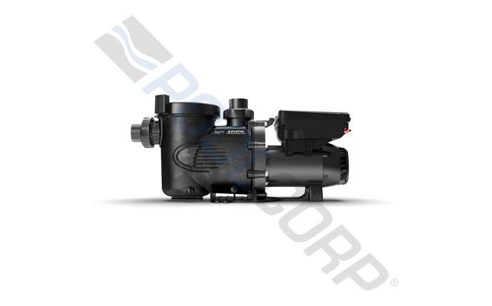 tld-10-2132.jpg