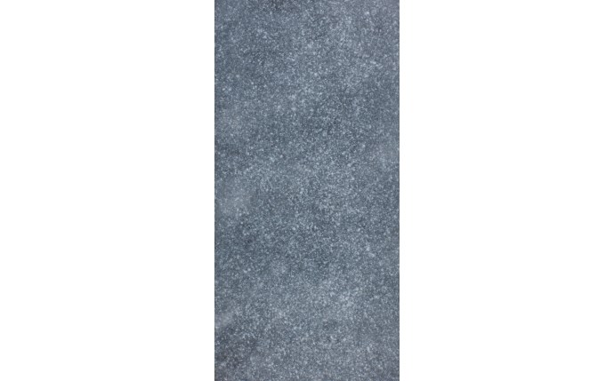 tmr-37-0206.jpg