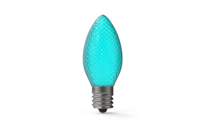 VLC-96-0042.jpg