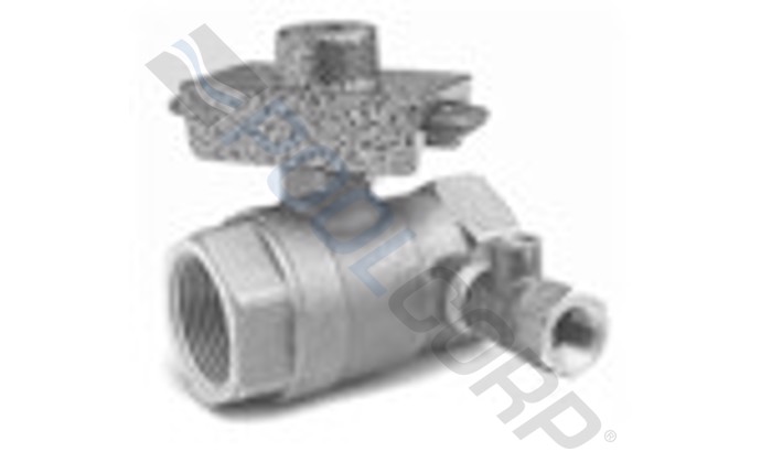 WRD-581-1016.jpg