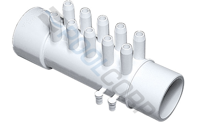 wwp-101-8019.jpg