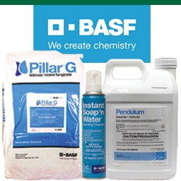 BASF